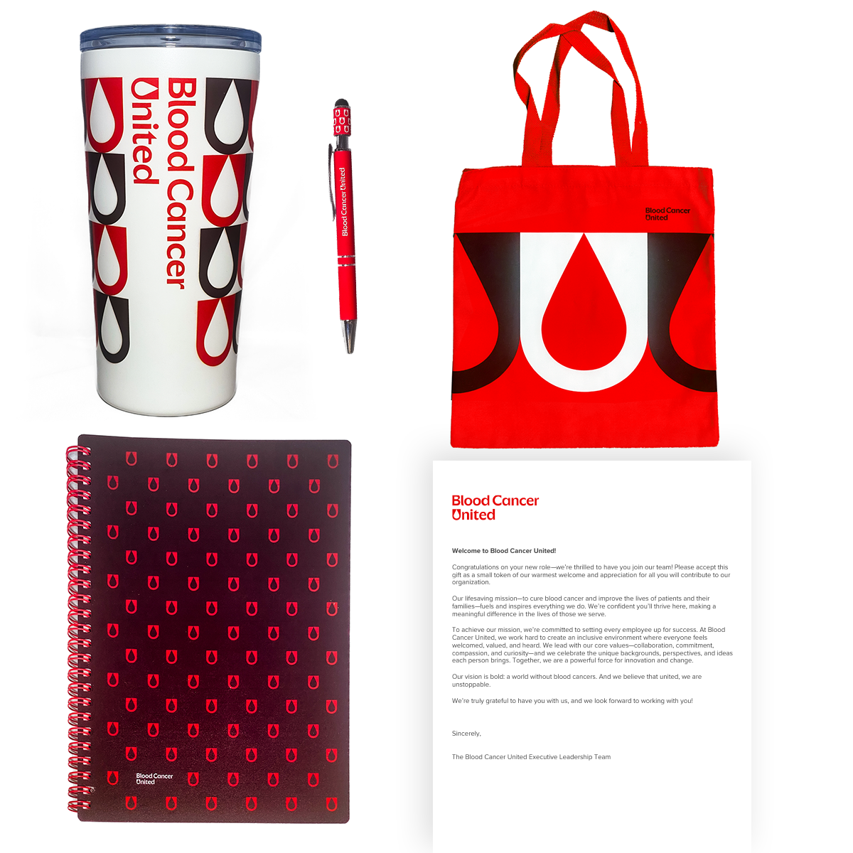 Intern Welcome Box - IN STOCK ITEM - BCU8061