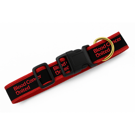 BCU Pet Collar - IN STOCK ITEM